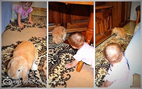Атеросклеротические бляшки лечение