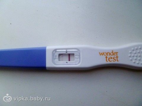 К чему сниться своя свадьба с беременностью Искусственное вскармливание котят Кошка Кот Котенок