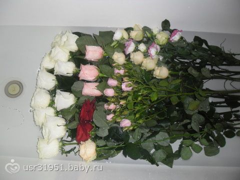 Что подарить алисе на день рождения Что подарить алисе на день рождения