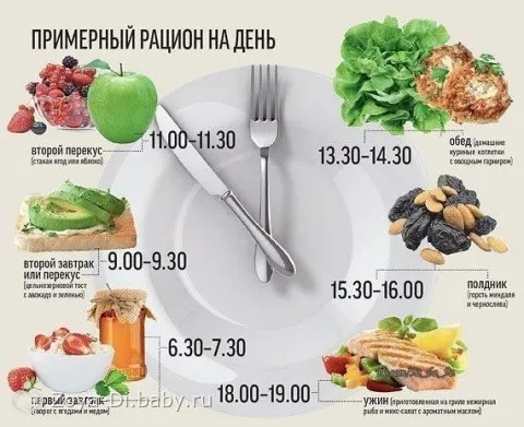 пятиразовое питание для похудения отзывы пятиразовое питание для похудения отзывы