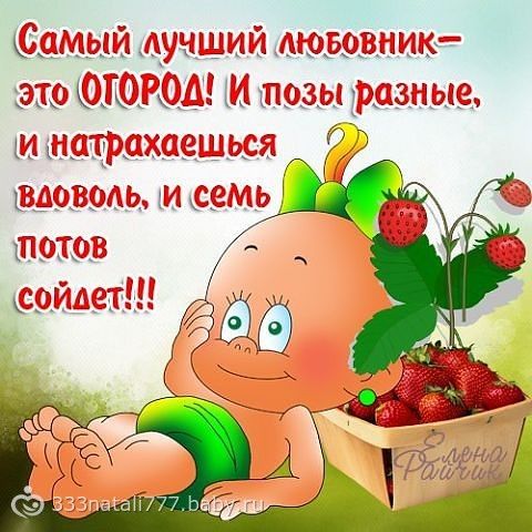 Поздравление для дачнику с юбилеем Поздравление для дачнику с юбилеем