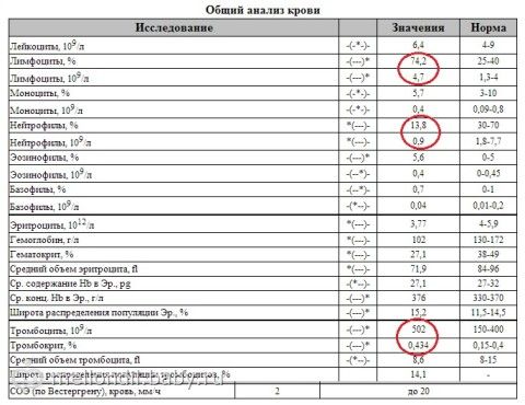 Не беременной снится беременность 53