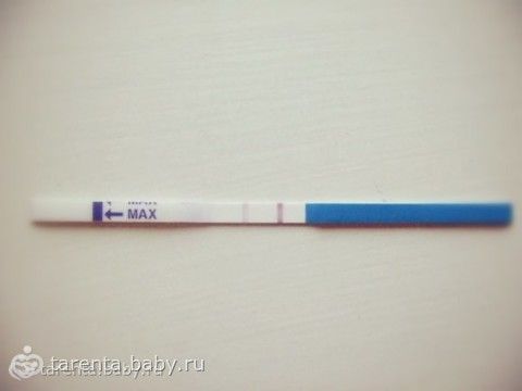 Пример теста на беременность