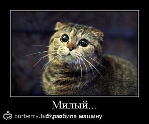 Веселые и смешные поздравления на 20 лет (с юмором) в стихах изображения Веселые и смешные поздравления на 20 лет (с юмором) в стихах изоражения