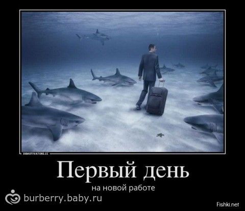 Веселые и смешные поздравления на 20 лет (с юмором) в стихах Веселые и смешные поздравления на 20 лет (с юмором) в стихах