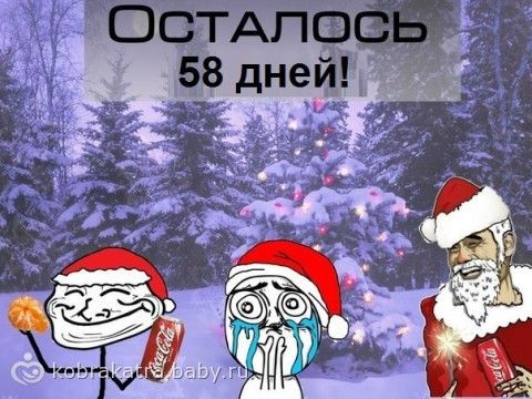 До нового года осталось 56 дней До нового года осталось 56 дней
