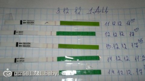 Детский сад малыш в мичуринске Детский сад малыш в мичуринске