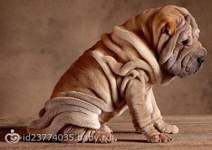 Как подтянуть кожу после похудения? Тренируемся!