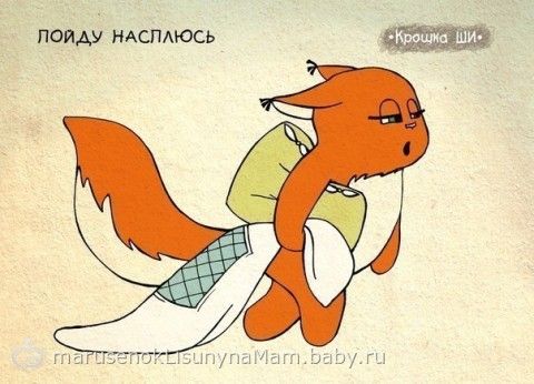 споки ноки картинки