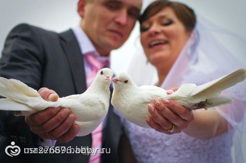 Конкурс в клубе на раздевание Плёбы 8 Марта Как быстро я в тебя влюбился. - Ваши стихи и признания - Целую. ру