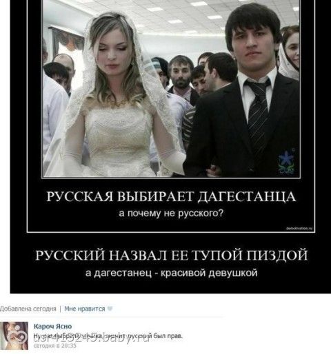 Почему русские не любят украинцев мнение чеченца Почему русские не любят украинцев мнение чеченца
