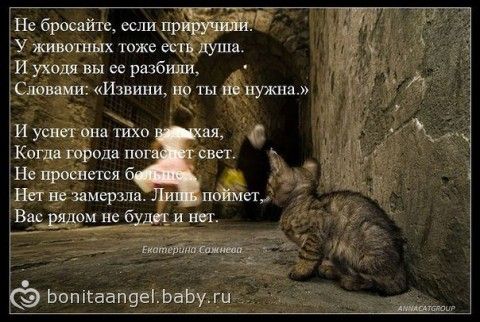 Как сделать простой шутер ИРО: Менеджмент в образовании