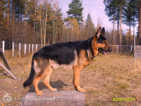 Отзывы о 26 больнице спб