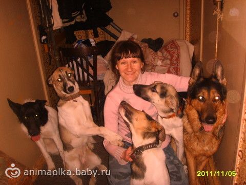 1 гбуз но городецкая црб заволжская городская больница