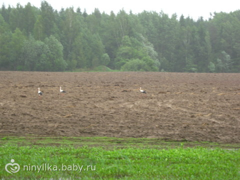 поездка в Минск. Много фото