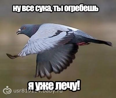 я в бешенстве картинки я в бешенстве картинки