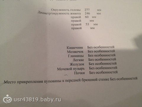 Наше третье плановое узи))) Наше третье плановое узи)))