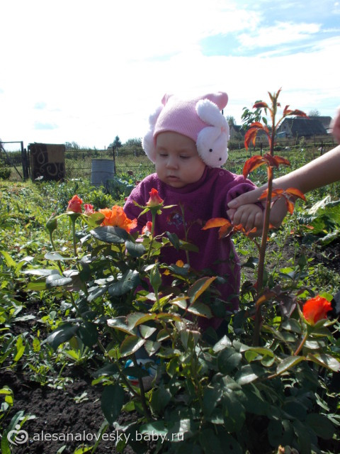 Отчет о выходных. (фото)
