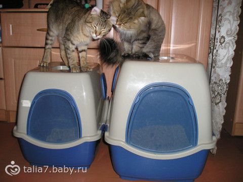 ТУАЛЕТЫ, СОВОЧКИ, ПОДГУЗНИКИ, ПЕЛЕНКИ для животных