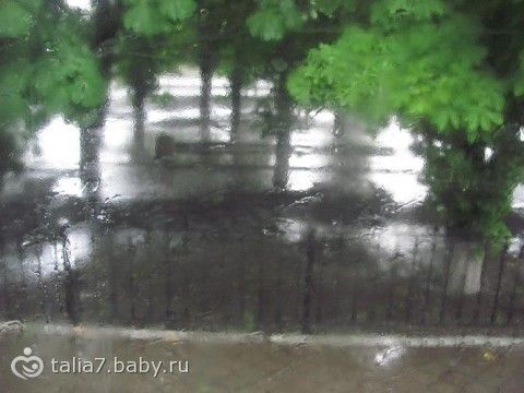 Фото сегодняшнего дождя