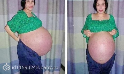 Перец Пепперони и другие сорта комнатного перца для Перец Пепперони и другие сорта комнатного перца для