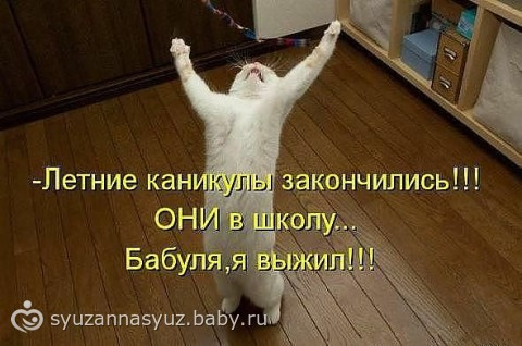 Немного позитивчика для вас ,девулeчки.)))