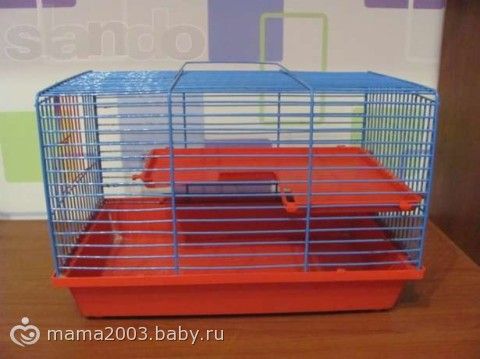 Жилье, игрушки и питание хомячков.