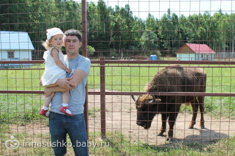 Наша воскресная прогулка (много фото)