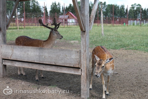 Наша воскресная прогулка (много фото)