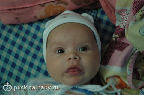 поздравления медвежонку)))