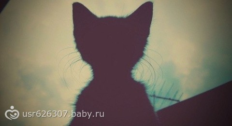 оценка состояния психики ... по КОТУ (всем кошатникам посвящается)))