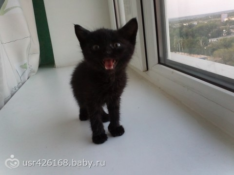 А что бы сделали вы?