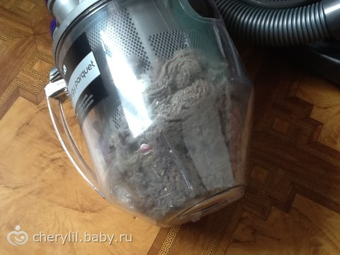 Мы свинки?