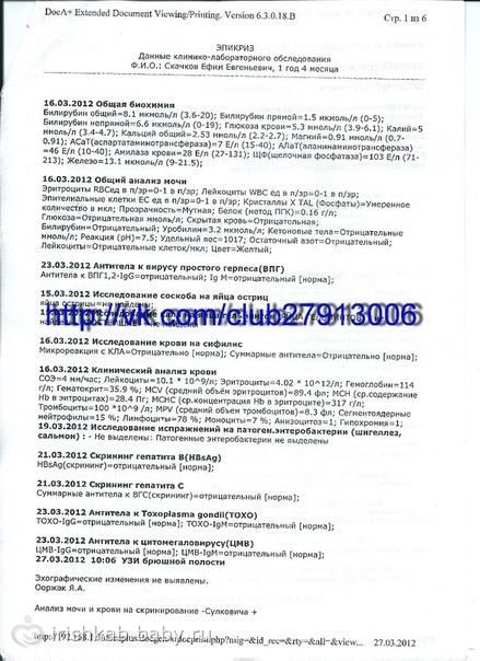 Сбор закрыт, Ефимка Скачков! УСПЕТЬ СПАСТИ ДЕТСТВО!!!