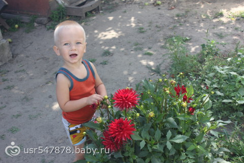 а вот и фото