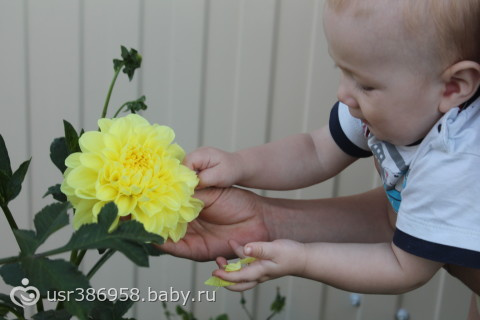 наши 10 месяцев.мыльные пузыри.мало букв, много фото