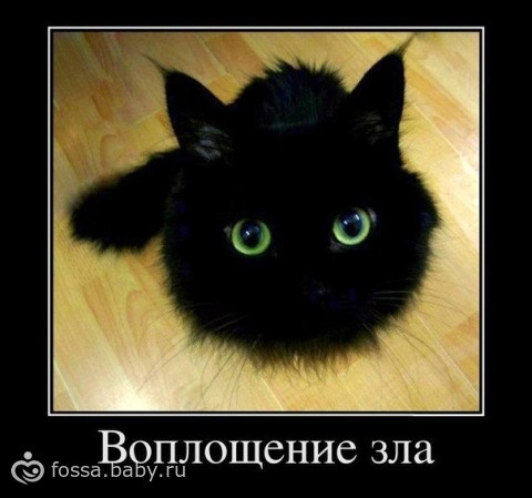 Флешмоб) ЦИФРА))