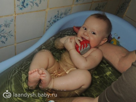 Мне 8 месяцев ))))))