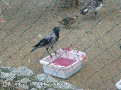 наши выходные)) фото