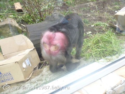 наши выходные)) фото