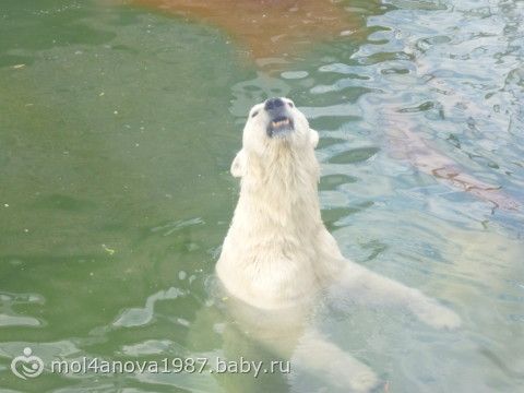 наши выходные)) фото