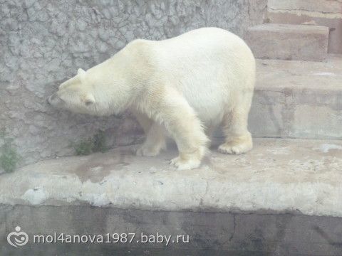 наши выходные)) фото