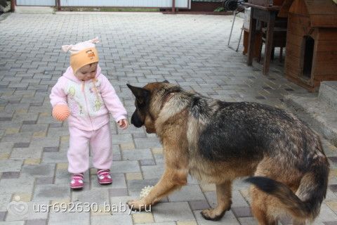 день 3