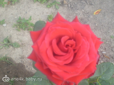 Ох Девоньки))))))))))))))))))))))))))))