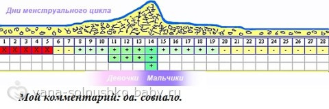 Планируем пол (для себя)