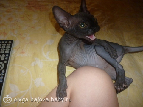 приехали гости))))))))))))))))))))))))))))))))))))))))))))
