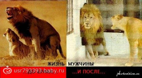 Улыбнись жизнь прекрасна картинки