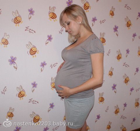 Мейн кун беременность по неделям фото