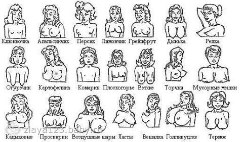 luchshee-russkoe-grudi-kak-dinki-porno