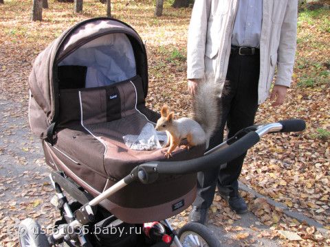 Белка